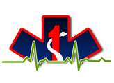 aph, samu, rcp, bls, sbv, aeromedico, resgate e socorro, emergencia, treinamento, hospitalar, brigada